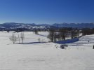 20211218_125206.jpg