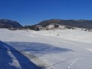 20211218_125014.jpg 20211218_125014.jpg