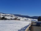 20211218_125033.jpg 20211218_125033.jpg