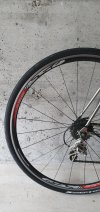 20200711_180004.jpg