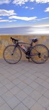 IMG_20211208_163611.jpg