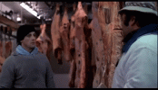 ExcitableHalfIsabellineshrike-size_restricted.gif