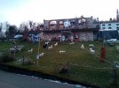 IMG_20211230_162531.jpg