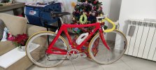 colnago carbon volo natale.jpg
