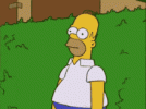 homer-the-simpsons.gif