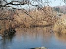 IMG_20220109_112915.jpg