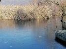 IMG_20220109_112212.jpg
