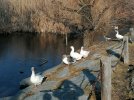 IMG_20220109_112510.jpg