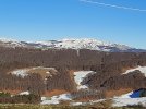 20220114_151806.jpg