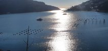 20220114_143644.jpg