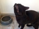image.jpeg image.jpeg
