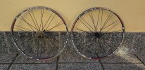 Ruote Xeron XC in alluminio 700x23 Sunrace 9v