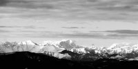 _DSC7120.jpg