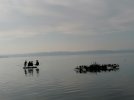 IMG_20220123_112306.jpg