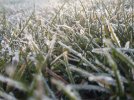 20220124_085840.jpg