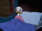 b6c5a1ce998dae1e8e52ff78e9d96e4f.gif