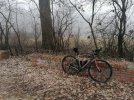 IMG_20220126_111033.jpg