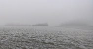 IMG_20220126_170750.jpg