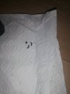 IMG_20220126_211232.jpg