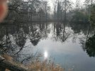 IMG_20220206_122202.jpg