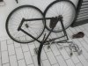 DSCN3274.jpg
