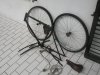 DSCN3275.jpg