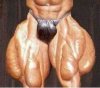 muscles.jpg