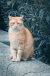 DSC_2948.jpg
