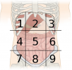 89106674-121B-47B8-B013-57A2221DFCE1.png 89106674-121B-47B8-B013-57A2221DFCE1.png