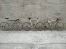 IMG_20220303_133236.jpg