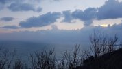 20220305_070936.jpg