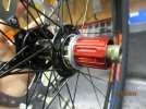 CERCO corpetto ruota libera PMP Shimano 11 velocità