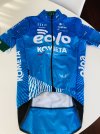 Giacca Gobik Storm team Pro Eolo Kometa