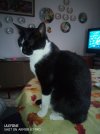 WhatsApp Image 2022-03-17 at 08.32.37.jpeg