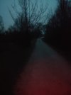 20220317_185600.jpg