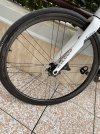 Campagnolo Bora wto 33 disc 2022