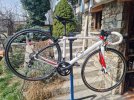Specialized Secteur Comp 49