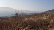 20220326_075848.jpg