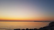 20220325_054628.jpg