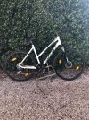 SCOTT X DONNA SPORTSTER