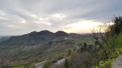20220409_071659.jpg