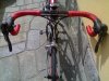 user15256_pic14227_1269172736.jpg