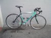 bianchi.jpg