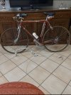 IMG_8563.jpeg