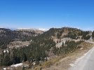 20220414_113730.jpg 20220414_113730.jpg
