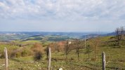 20220416_091048.jpg