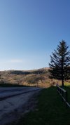 20220416_081725.jpg