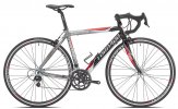 t32048viol.jpg