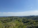 51F95207-C4C2-47CE-B33D-D1ED6924FF39.jpeg
