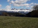 20220427_121607.jpg 20220427_121607.jpg